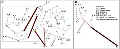 Indian Red Jungle fowl reveals a genetic relationship with South East Asian Red Jungle fowl and Indian native chicken breeds as evidenced through whole mitochondrial genome sequences